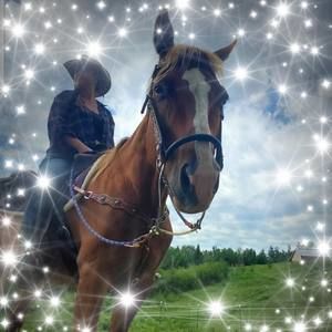 Meet your Posher, Katie